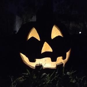 Meet your Posher, Debby